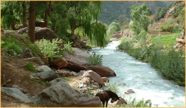 The best €19 Marrakech day trip to Ourika valley