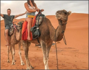 3 days in Morocco - Private Multi Day Tour from Marrakech to Merzouga 3 days in Morocco - Private Multi Day Tour from Marrakech to Merzouga