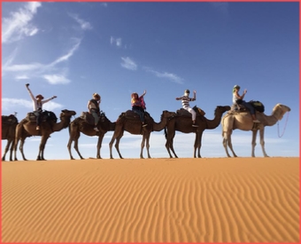  private tours with a local driver/guide